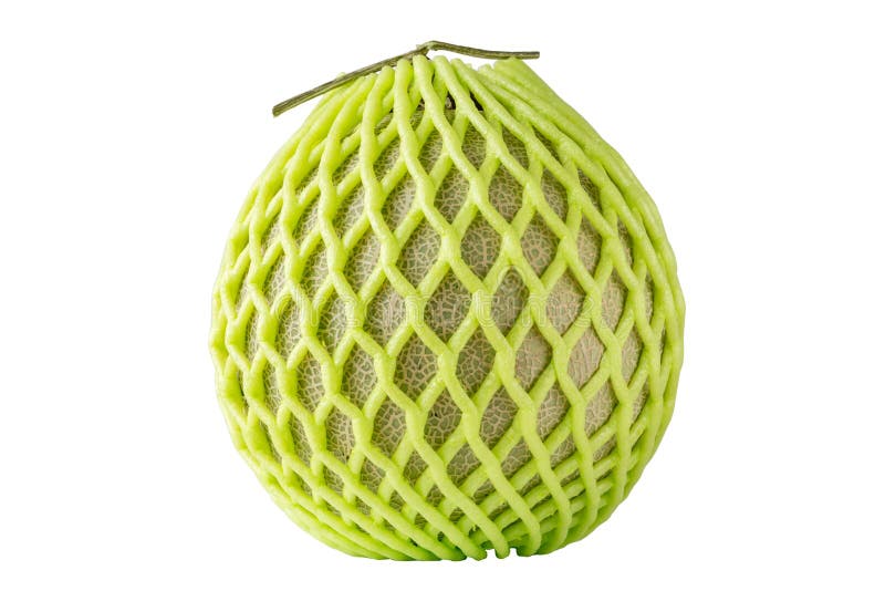 Sweet Japanese melon in green net foam protection on white background, healthy eating concept.