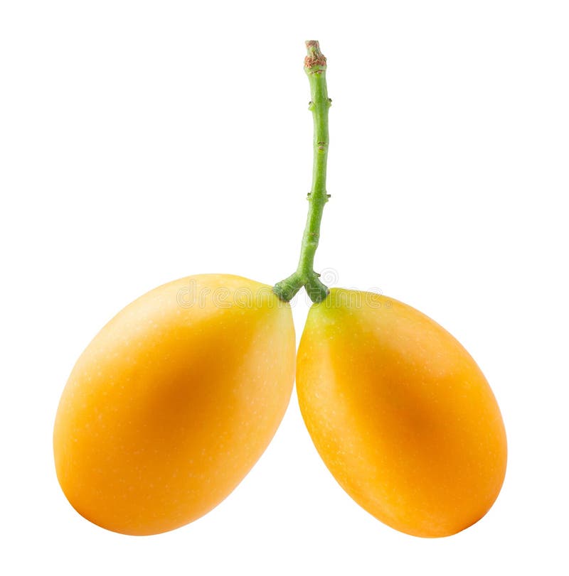Sweet Marian plum fruit isolated on white background stock images