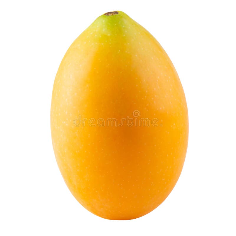 Sweet Marian plum fruit isolated on white background royalty free stock photography