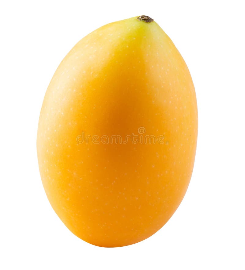 Sweet Marian plum fruit isolated on white background stock image