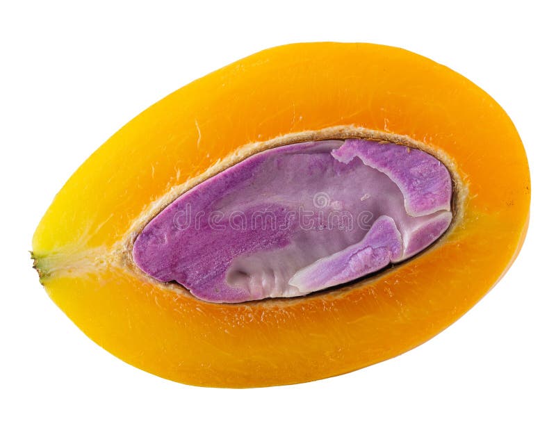 Sweet Marian plum fruit isolated on white background stock images