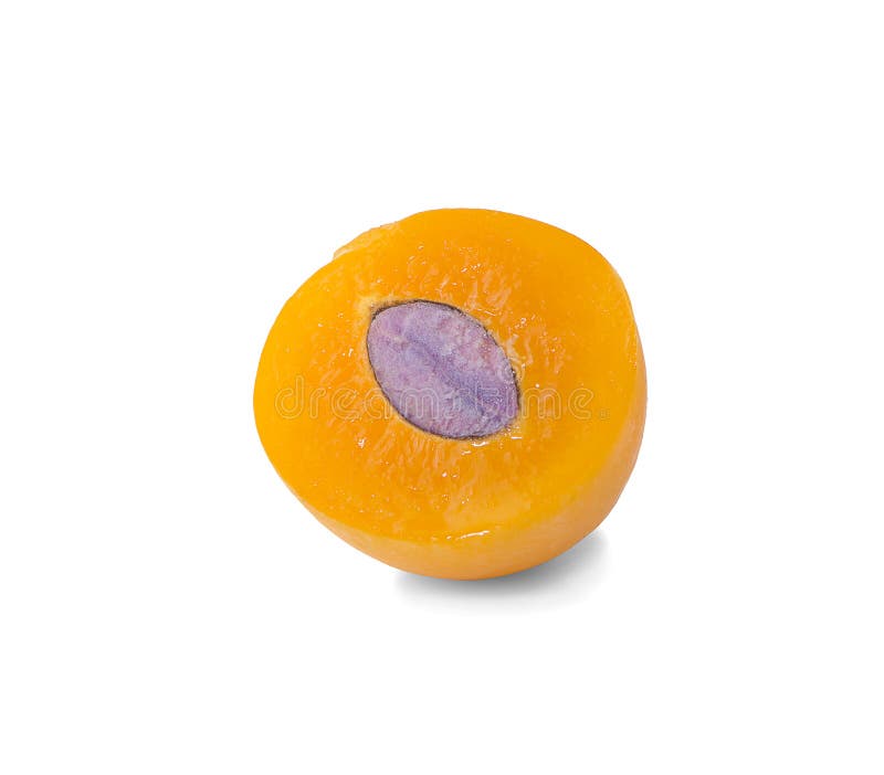 Sweet Marian plum thai fruit an isolated on white background royalty free stock images Sweet Marian plum thai fruit an isolated on white background royalty free stock images