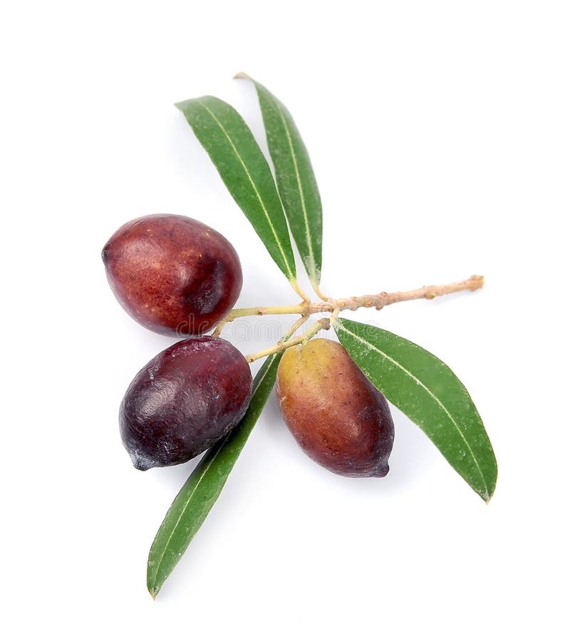 Sweet olives stock image. Image of three, fruits, vegetable 27584509