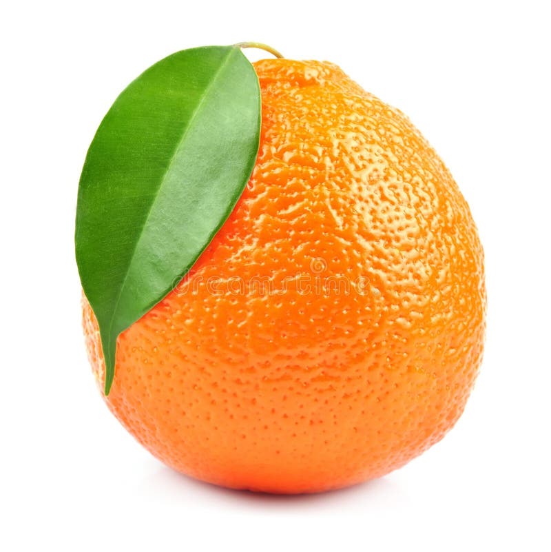 Sweet Oranges Fruits( Minneola) Stock Photo Image of sweet, white