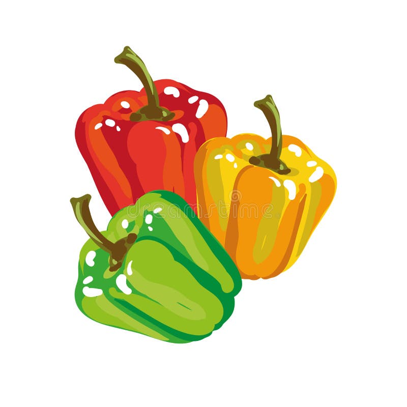 Sweet Paprika Bell Pepper in Three Colors Stock Vector Illustration