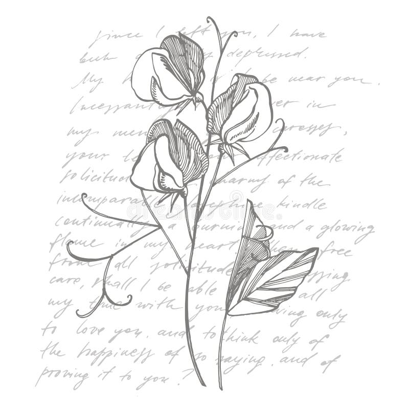 My Image 22