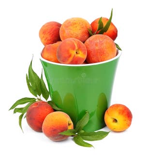 Sweet Peaches Stock Image Image Of Diet Fruit Object 20592301