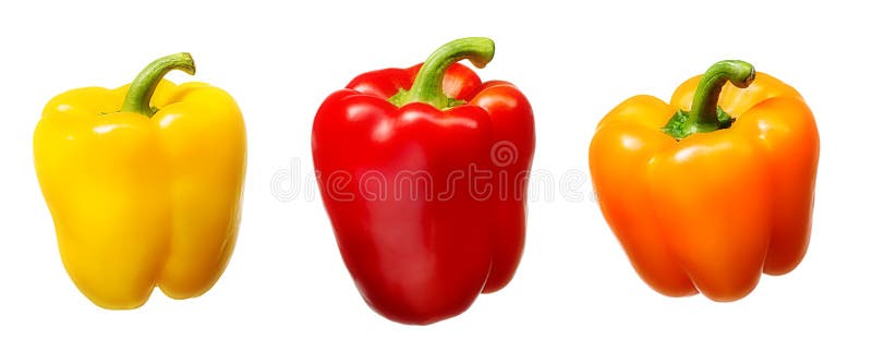 Sweet Pepper Isolated on White Stock Photo Image of ingredient, fresh 91730510