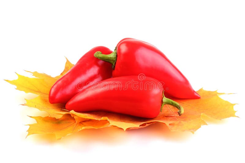Sweet Pepper on Yellow Maple Leaves on White Stock Photo Image of