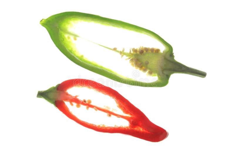 Sweet Peppers (Capsicum Annuum) Stock Image Image of green