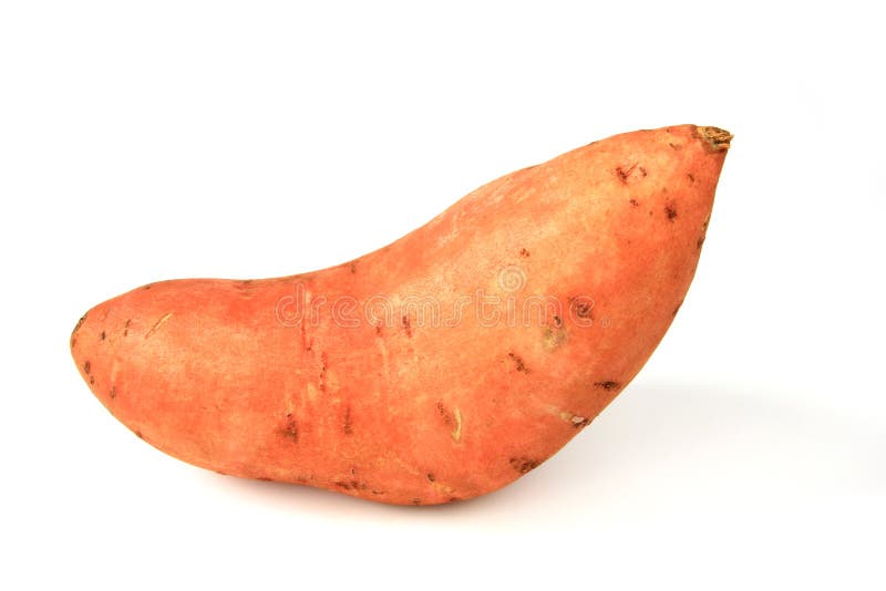 Sweet potato or batata (Ipomoea batatas)