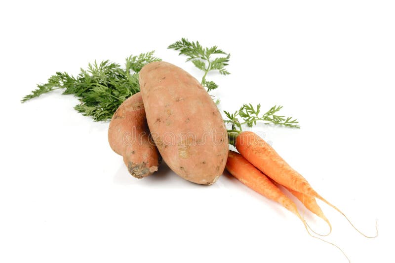 Sweet Potato and Carrots stock image. Image of bunch 12589363