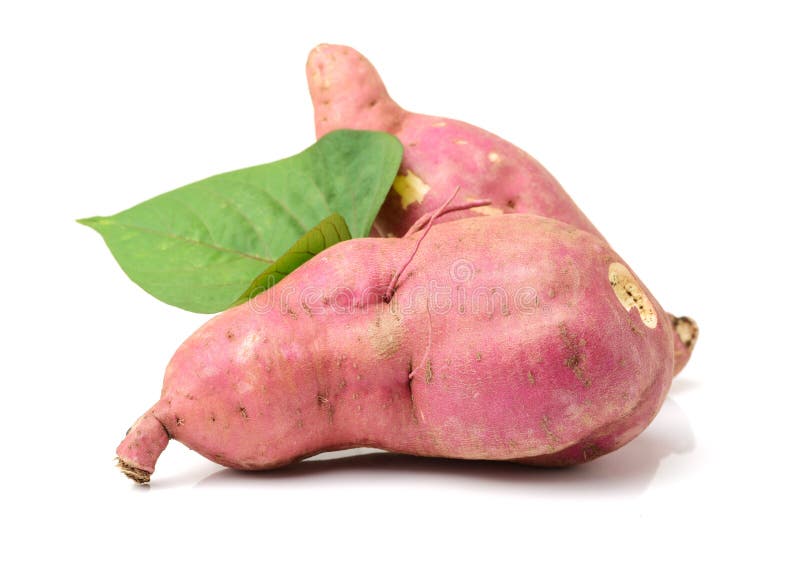 The sweet potato Ipomoea batatas or batat