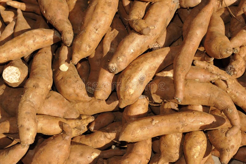 i5.walmartimages.com/seo/500g-x-1-can-Chinese-yam