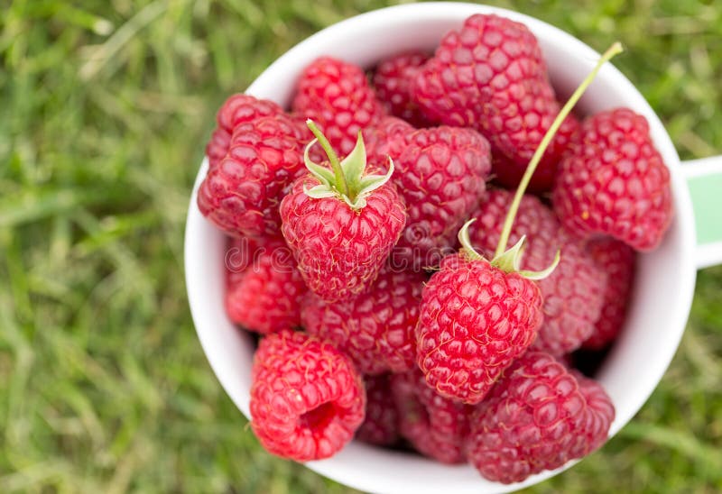 Sweet raspberry in bowl