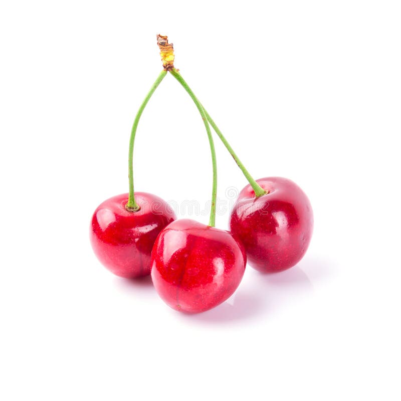 Sweet red cherries stock photo. Image of beautiful, bright - 33052624