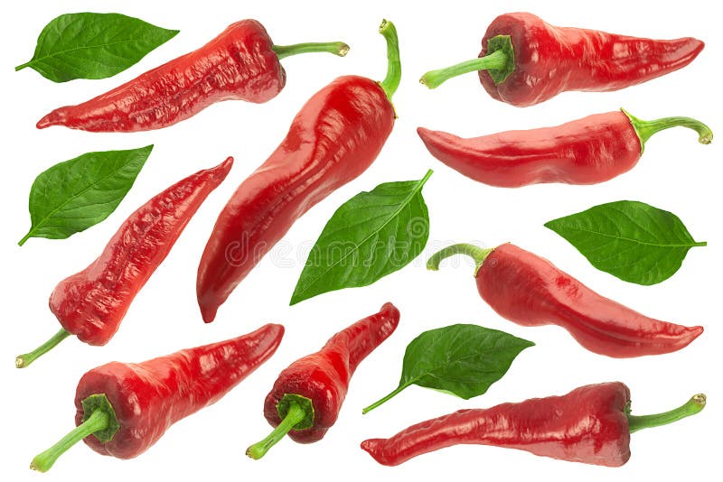 Sweet pepper leaf stock image. Image of plant, fresh 56835415