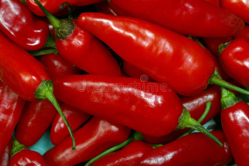 Sweet red peppers stock photo. Image of vegetable, produce 1442830