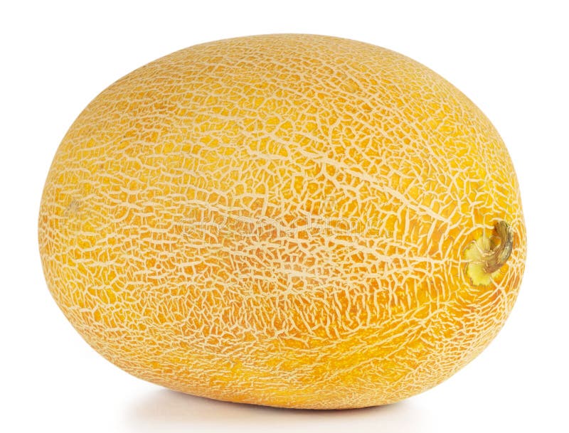 543 Sweet Ripe Yellow Oval Melon Stock Photos Free & RoyaltyFree Stock Photos from Dreamstime