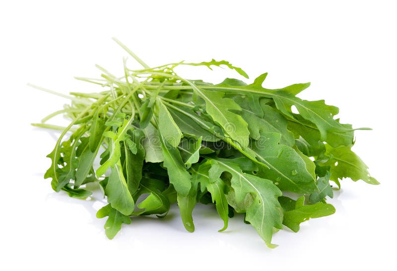 Sweet Rucola Salad or Rocket Lettuce Leaves Stock Image Image of lifestyle, diet 67020677