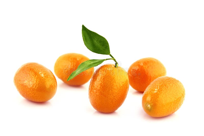 Small Orange Fruit stock image. Image of juicy, background 30218835