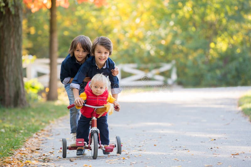 Sweet toddler boy, riding tricycle in the park on sunset, autumn time, siblings in the park, enjoying warn autumn day