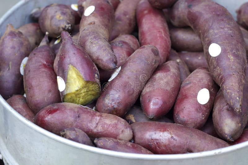 Sweet yam is cooked whole stock photo. Image of root 49569960