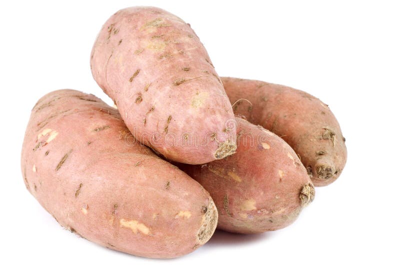Sweet Yams or Potatoes stock photo. Image of eating, potato 11602516