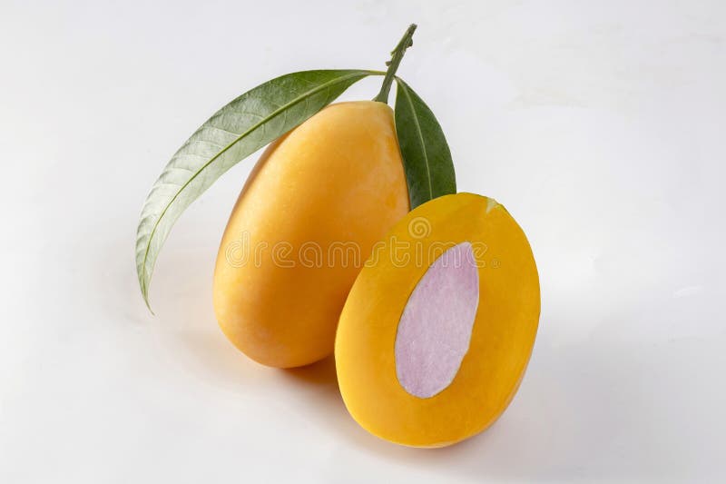 Sweet Yellow Marian Plum isolated on white background, Tropical fruit Marian Plum, Mayongchid stock photos