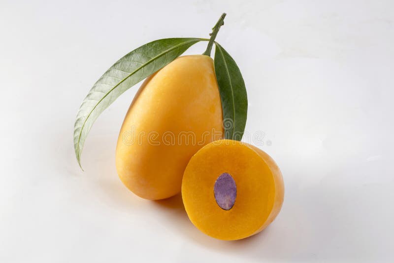 Sweet Yellow Marian Plum isolated on white background, Tropical fruit Marian Plum, Mayongchid stock photo