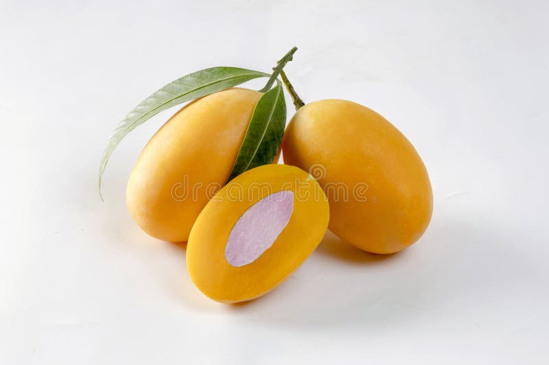 Sweet Yellow Marian Plum isolated on white background, Tropical fruit Marian Plum, Mayongchid royalty free stock photo