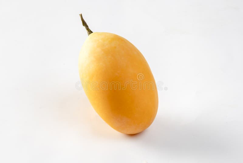 Sweet Yellow Marian Plum isolated on white background, Tropical fruit Marian Plum, Mayongchid royalty free stock images