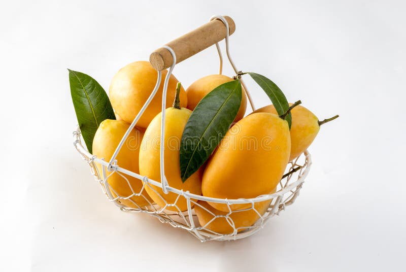 Sweet yellow Marian plums in separate basket on white background. Marian plums, tropical fruit, Mayonnaise royalty free stock photography