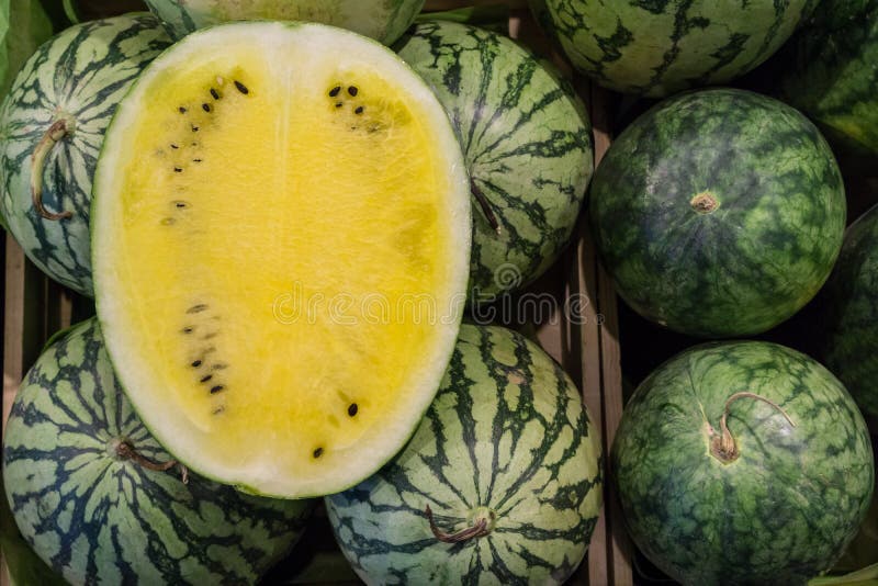 Yellow And Red Sweet Watermelon.Thailand. Stock Photo Image of diet