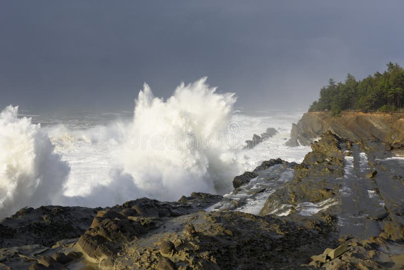 Swells of a Decade Crashing Against the Cliffs of Shore Acres State Park, Coos Bay Oregon