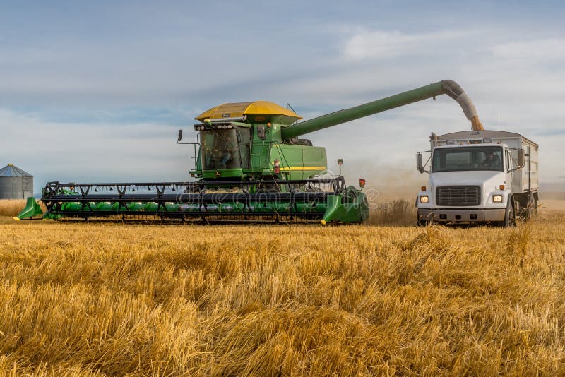 Swift Current, SK, Canada- Sept 8, 2019: Combine unloading wheat into grain truck during harvest