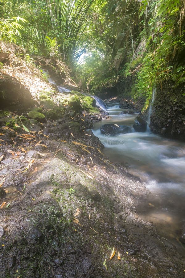 The swift river flow royalty free stock photos