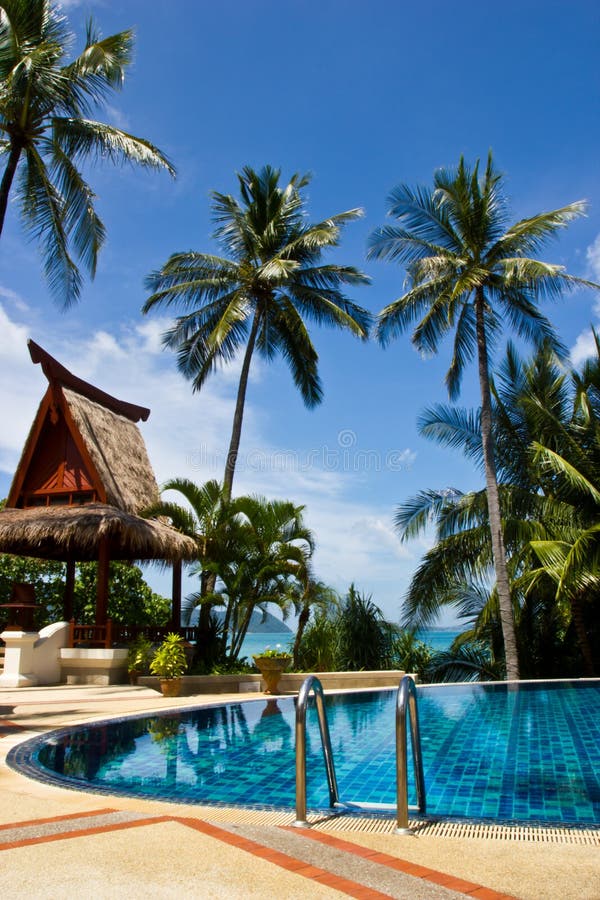 Swiming pool and coconut tree