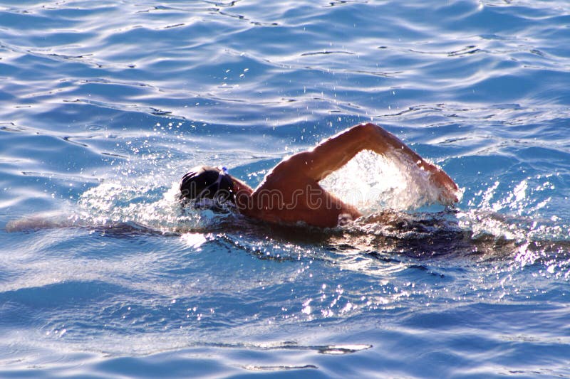 Freestyle swimmer backlit,some motionblur