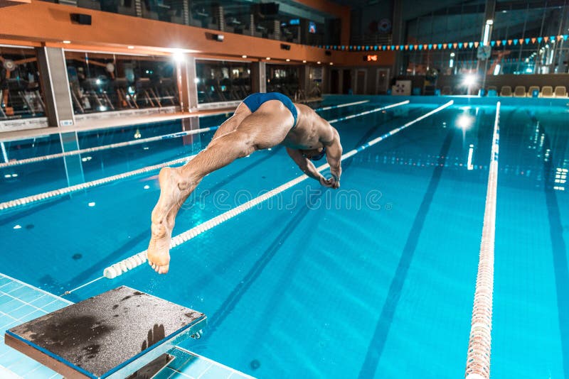 Swimmer Diving into Competition Swimming Stock Photo Image of