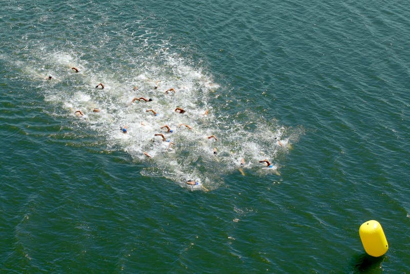 Group of swimmers during a competition in the sea. Group of swimmers during a competition in the sea