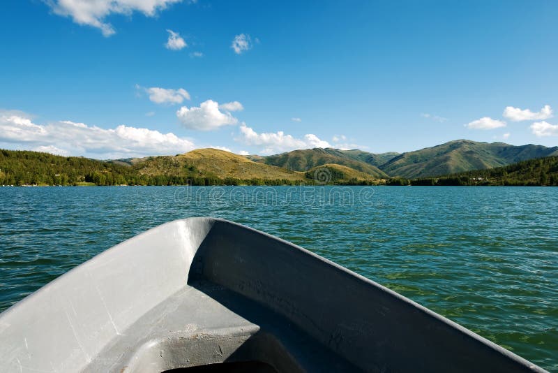 Swimming boat