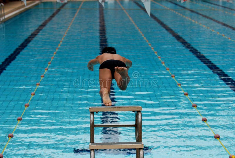 Swimming competition royalty free stock images