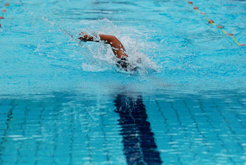 Swimming competition royalty free stock photography