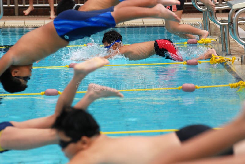 Swimming competition royalty free stock photography