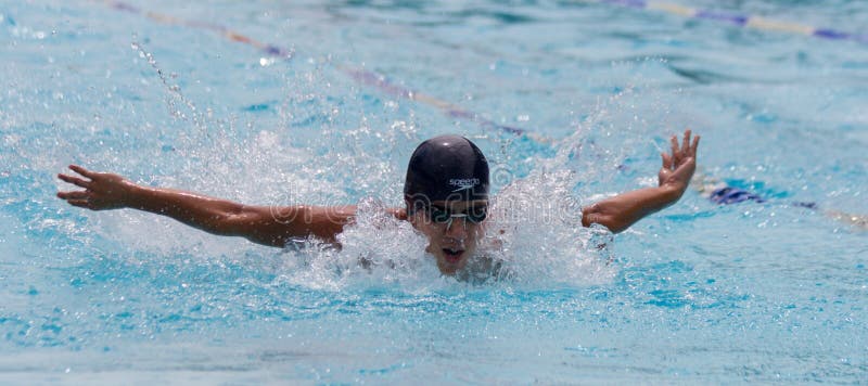 Swimming contest editorial stock image. Image of manila - 27392769