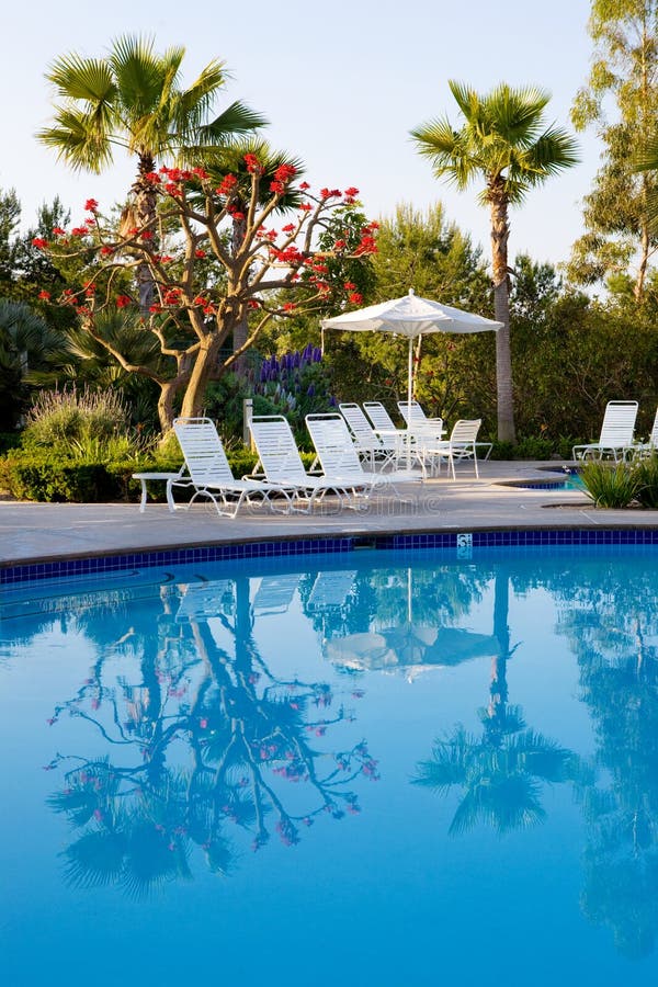 Swimming Pool With Reflections Stock Image - Image of water, swimming ...