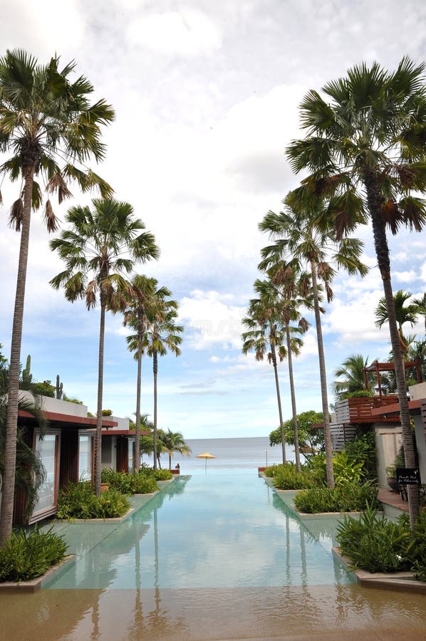 Swimming Pool Resort Sea Palm Tree