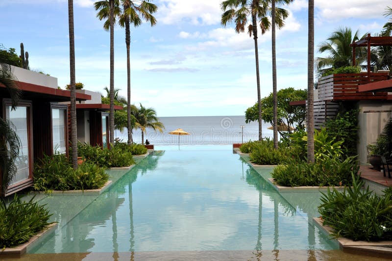 Swimming Pool Sea Palm Tree Resort