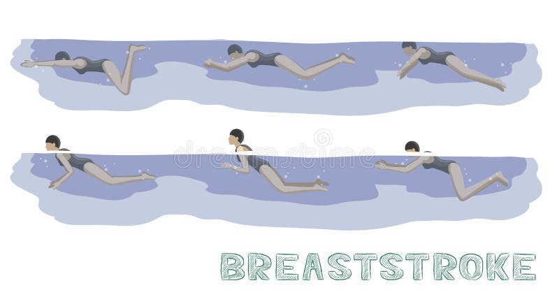 Swimming Pool Style Freestyle Motion Sequence Woman Animation Set Stock Vector - Illustration of exercise, woman: 147671449 Swimming Pool Style Freestyle Motion Sequence Woman Animation Set Stock Vector - Illustration of exercise, woman: 147671449
